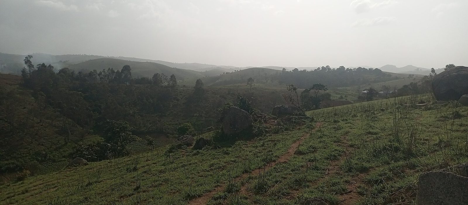Rolling green hills of the Mambilla Plateau in Taraba State